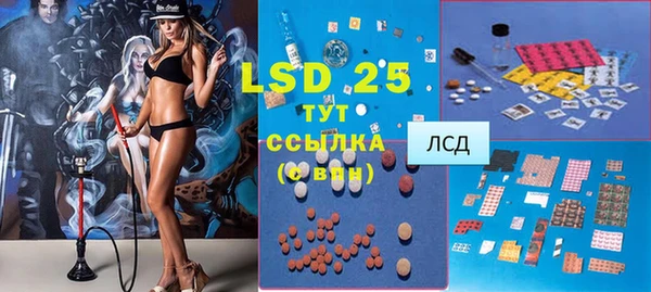 прущие грибы Верхний Тагил