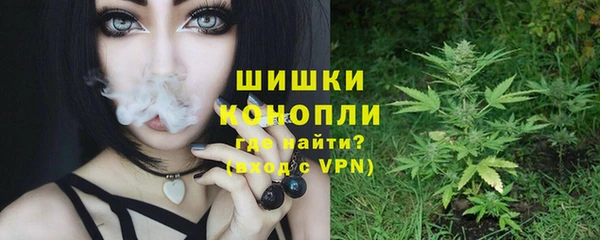 прущие грибы Верхний Тагил